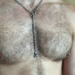 Pegasus Lariat