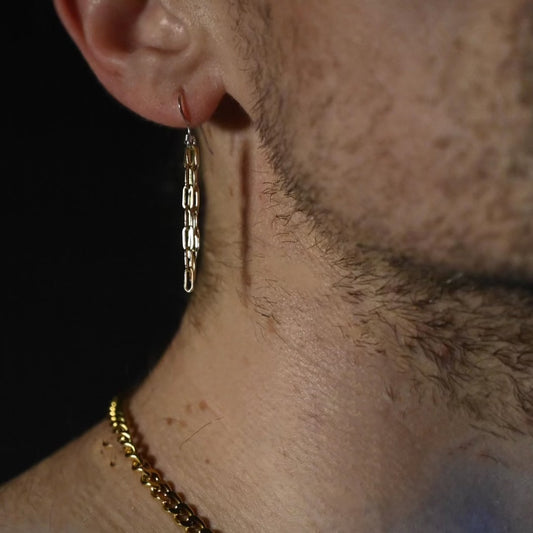 Mixed Metal Earring